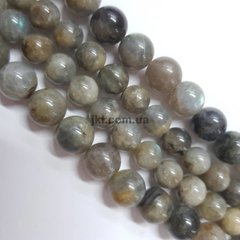 Лабрадор бусины 10 мм, натуральные камни, поштучно, серый