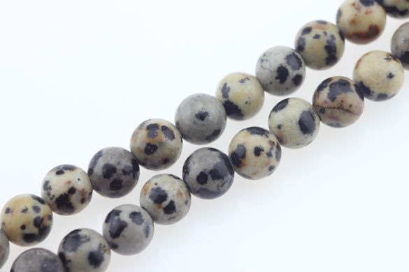 Яшма далматинец бусины 6 мм, натуральные камни, поштучно, черный с белым