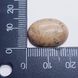 Кабошон з яшми Пісочній 19-21 * 14-16 * 4-6 мм, з натурального каменю, прикраса, бежевий з сірим