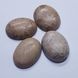 Кабошон з яшми Пісочній 19-21 * 14-16 * 4-6 мм, з натурального каменю, прикраса, бежевий з сірим